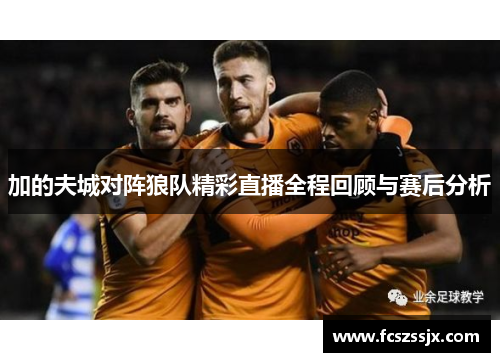加的夫城对阵狼队精彩直播全程回顾与赛后分析